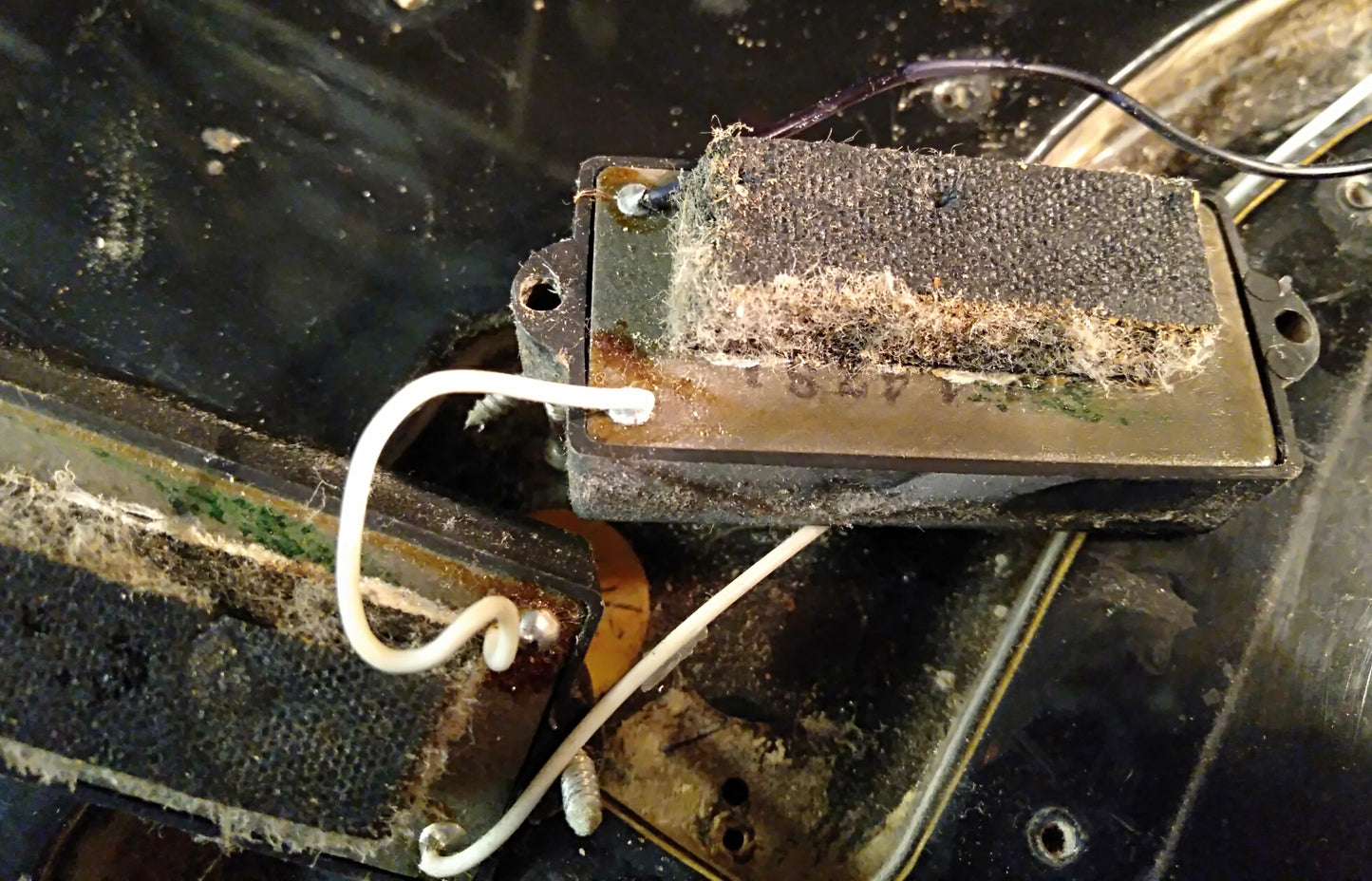 Fender P bass. 1979