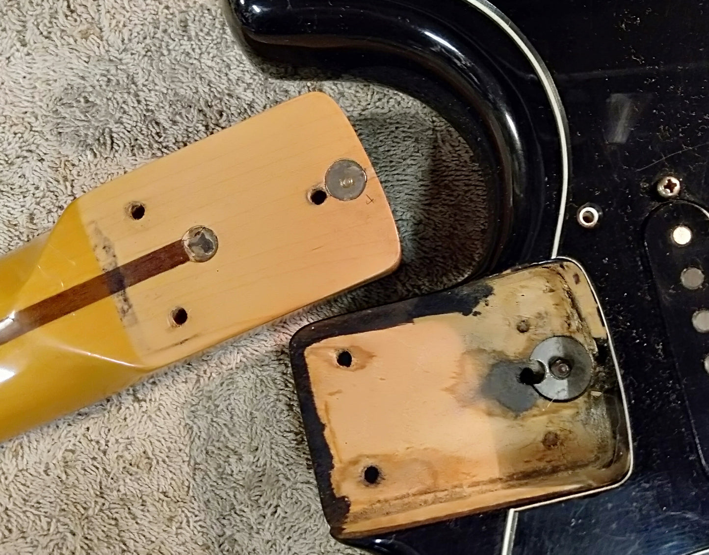 Greco Strat. 1981