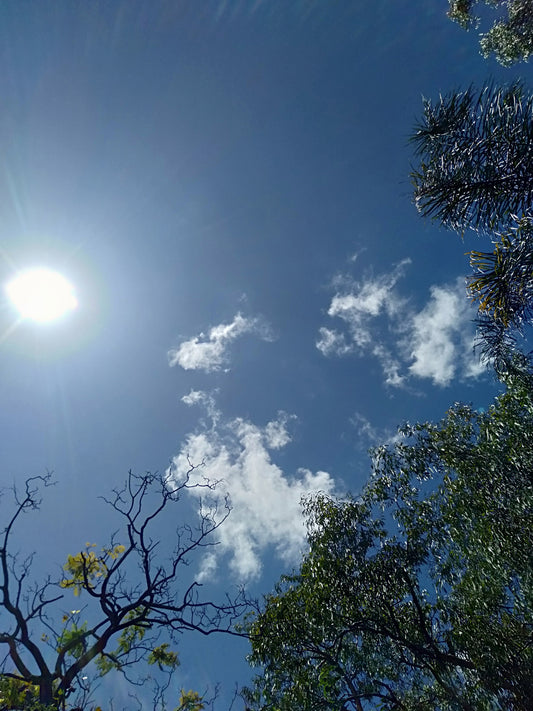 The workshop is now solar