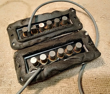 Rickenbacker Toaster pickups. 2nd hand