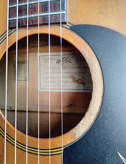 Maton M225C. 1996